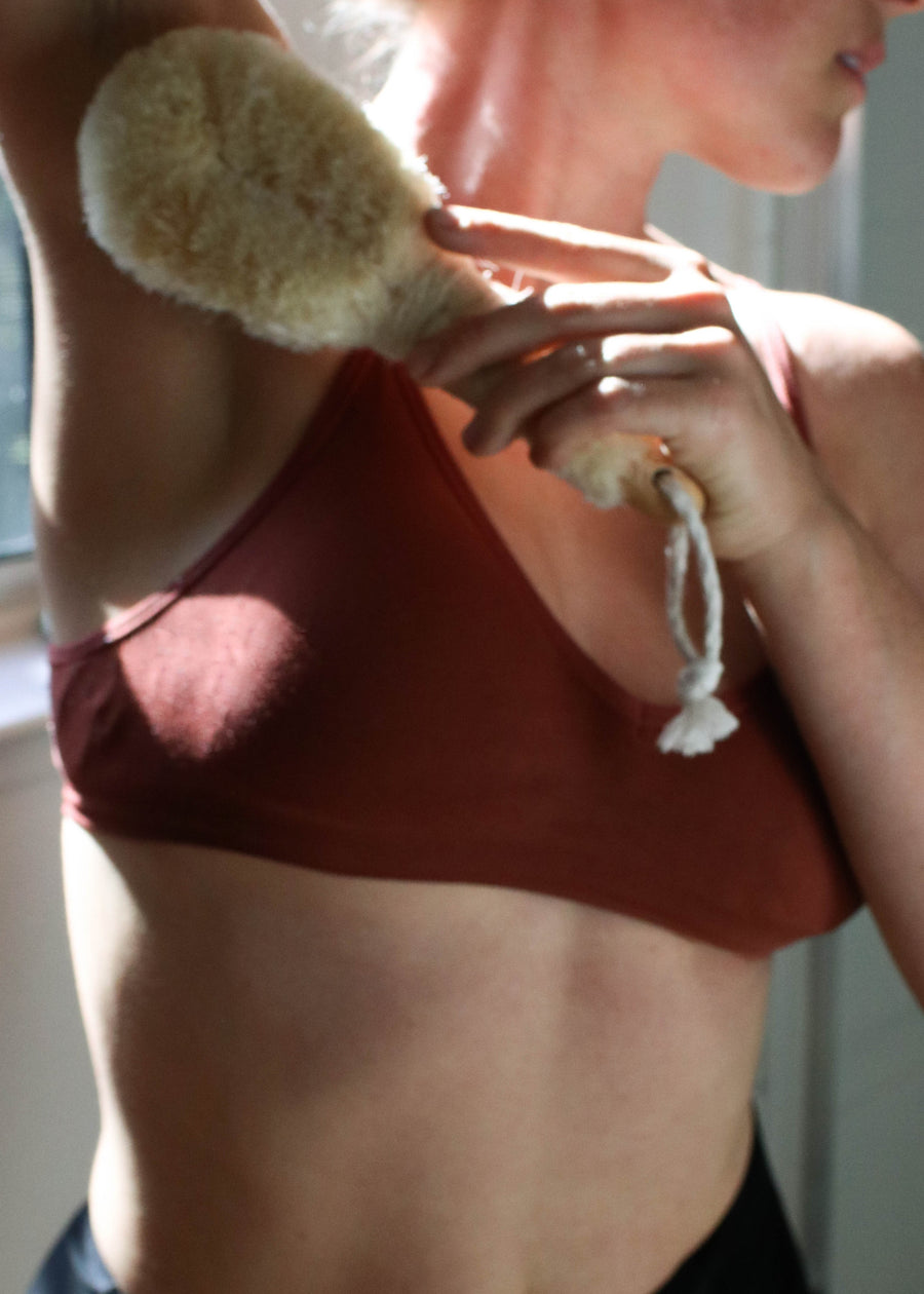 DRY BODY BRUSH